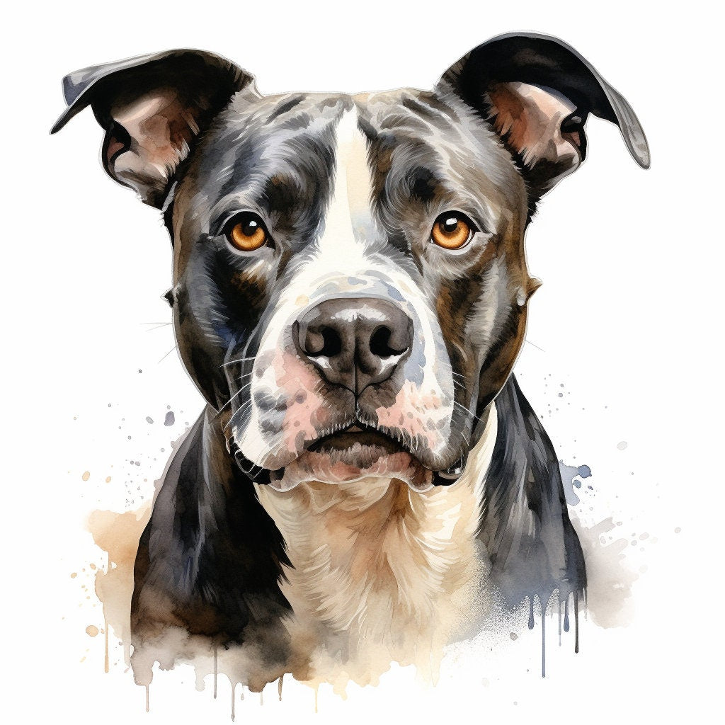 Majestic 10 x Print Watercolour American Bully Dog art American Bully Dog print American Bully Dog watercolour American Bully Dog wall art