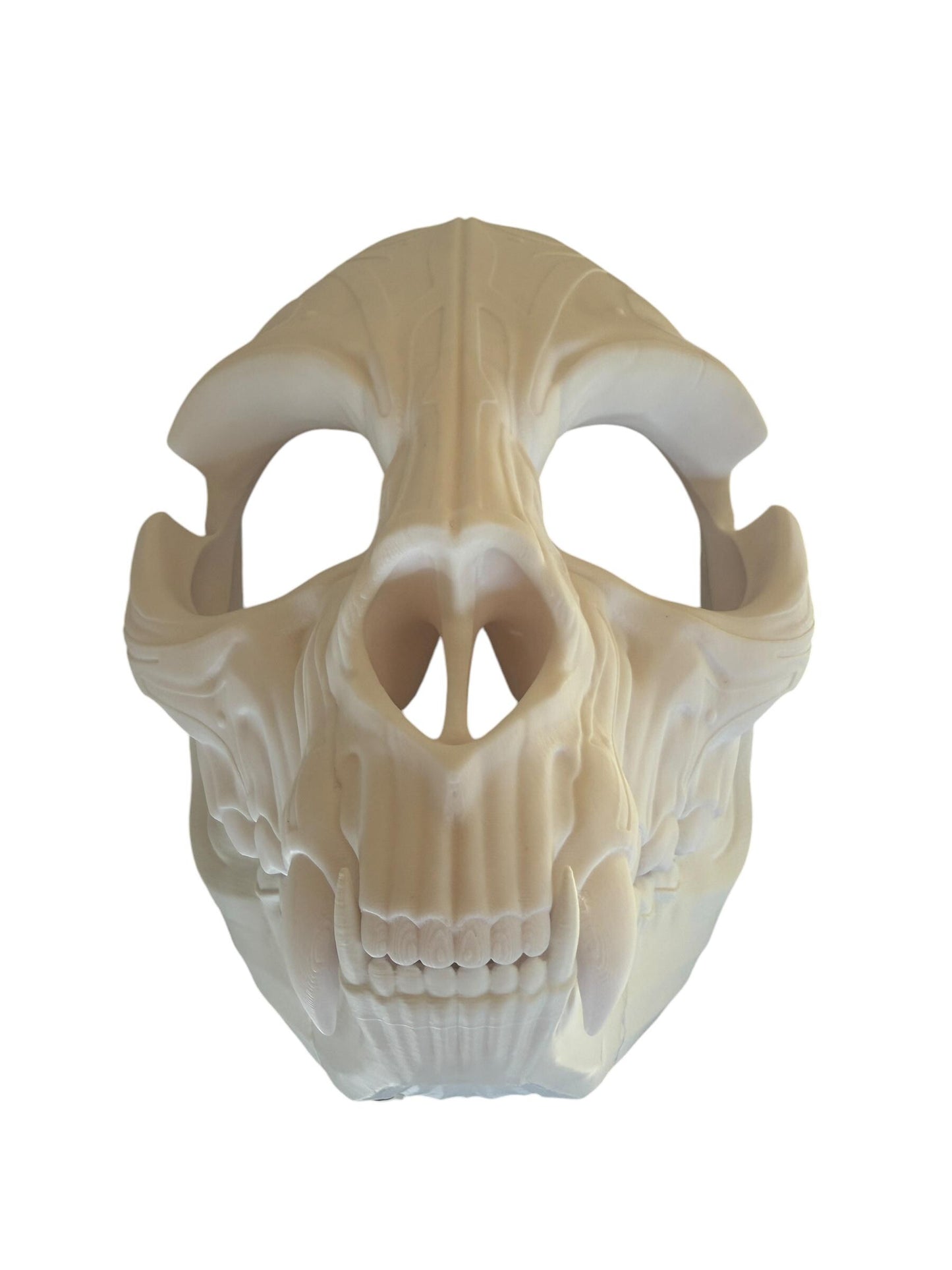Feline Skull Mask, Feline Skull Mask with Sharp Teeth - Unique Japanese Art, japanese mask
