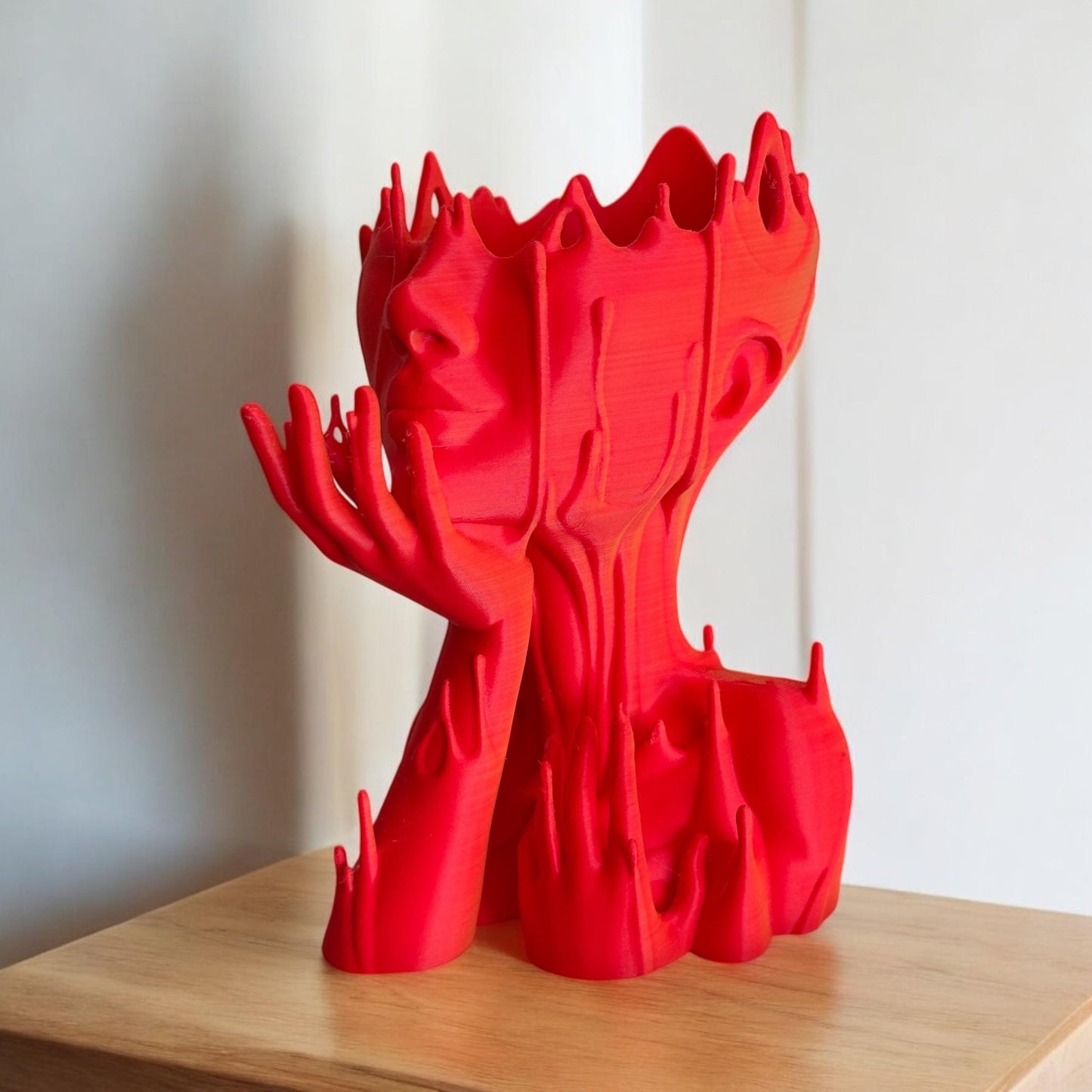 Head planter, Melted head plant pot, Artistic planter for indoor plants and outdoor plants, a gift for you or yourself. planter decoration