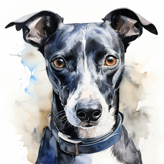 Greyhound Card - Personalised Greyhound Card