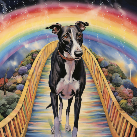 Greyhound Rainbow Bridge Card - Personalised Greyhound Card