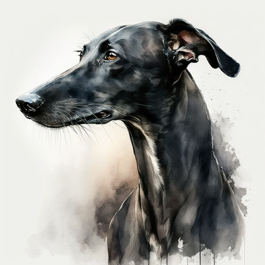 Greyhound Water Color Card - Personalised Greyhound Card