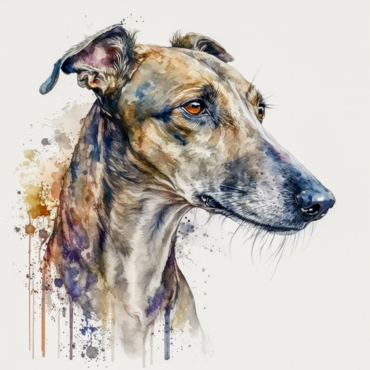 Majestic." Print Watercolour.Greyhound art,Greyhound print,Greyhound watercolour,Greyhound wall art,Greyhound home decor,Greyhound art decor