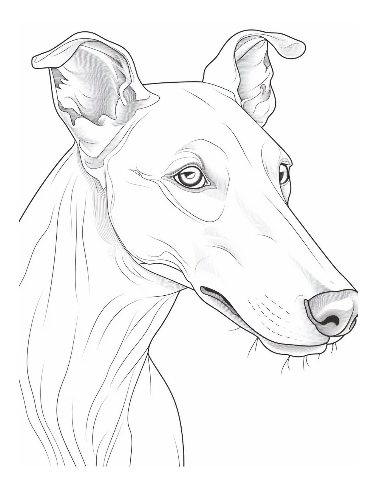 Greyhound Art Therapy Anti-Stress Colouring Book: Anti-Stress Book 50 images