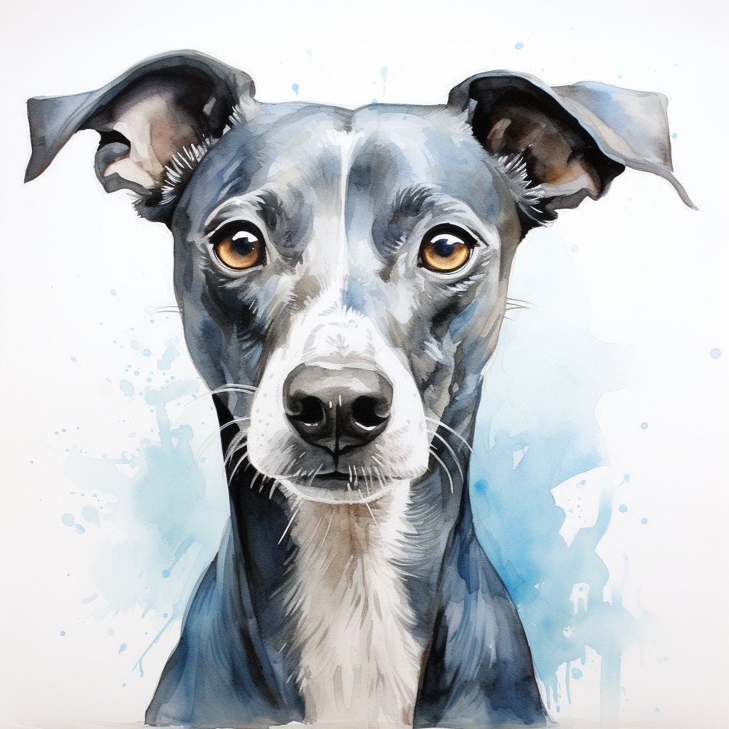 Majestic 10 x Print Watercolour blue whippet art blue whippet print blue whippet watercolour blue whippet wall art