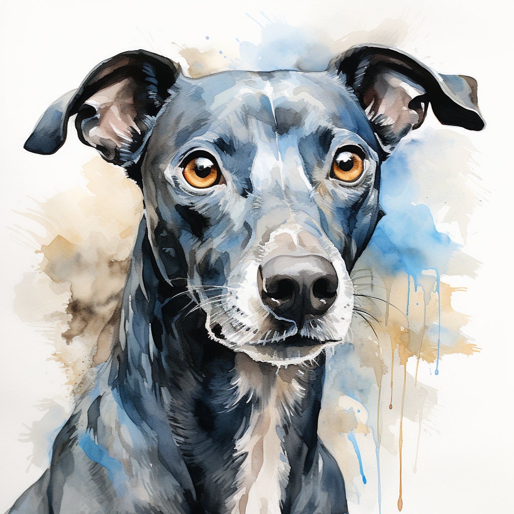 Majestic 10 x Print Watercolour blue whippet art blue whippet print blue whippet watercolour blue whippet wall art