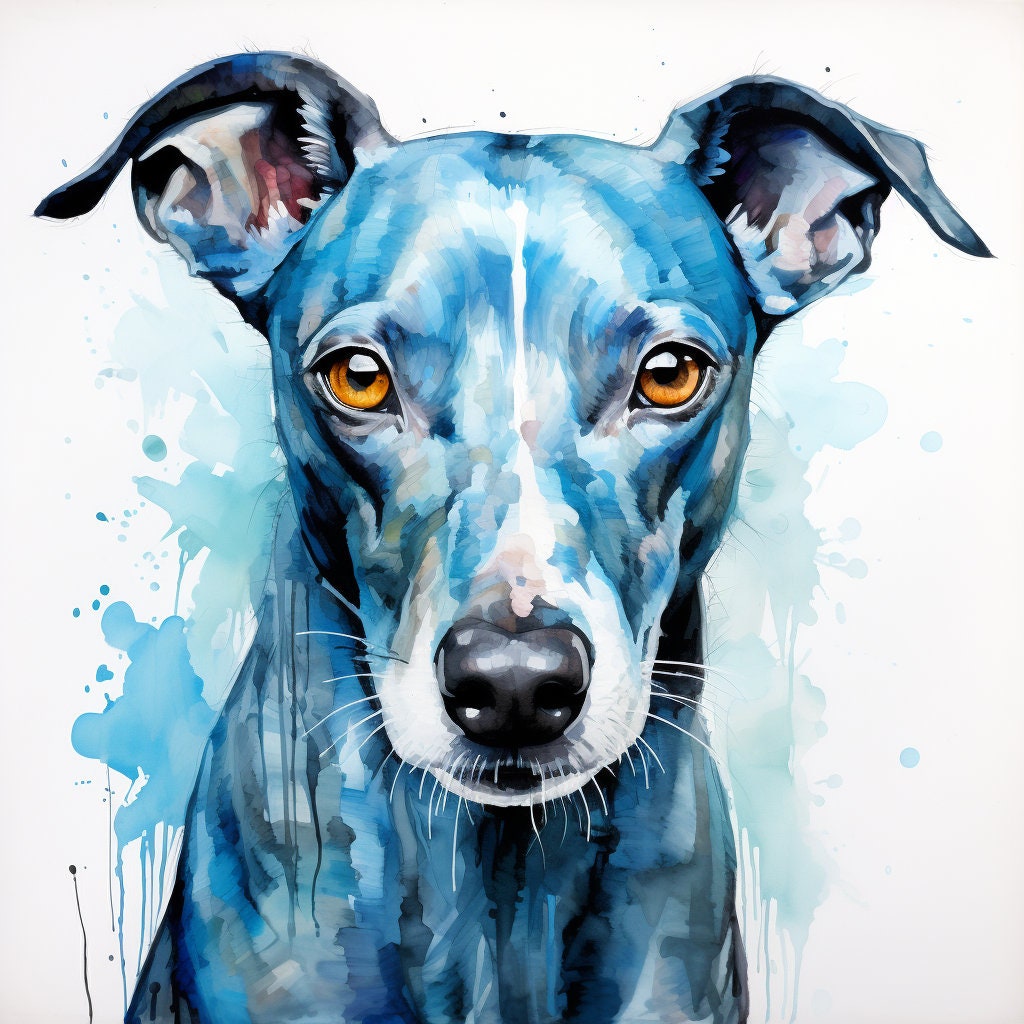 Majestic 10 x Print Watercolour blue whippet art blue whippet print blue whippet watercolour blue whippet wall art