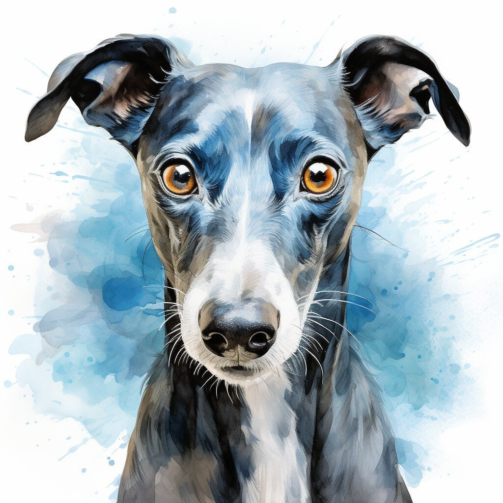 Majestic 10 x Print Watercolour blue whippet art blue whippet print blue whippet watercolour blue whippet wall art