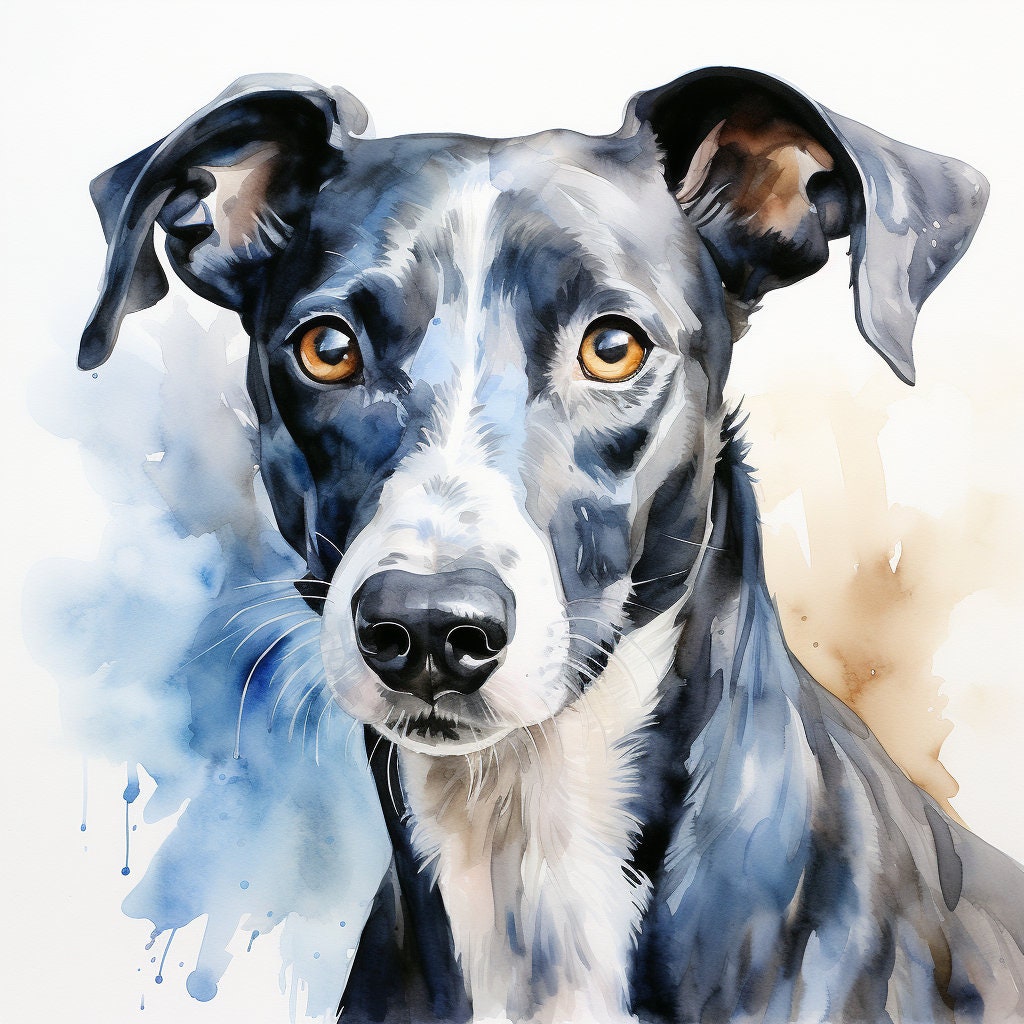 Majestic 10 x Print Watercolour blue whippet art blue whippet print blue whippet watercolour blue whippet wall art