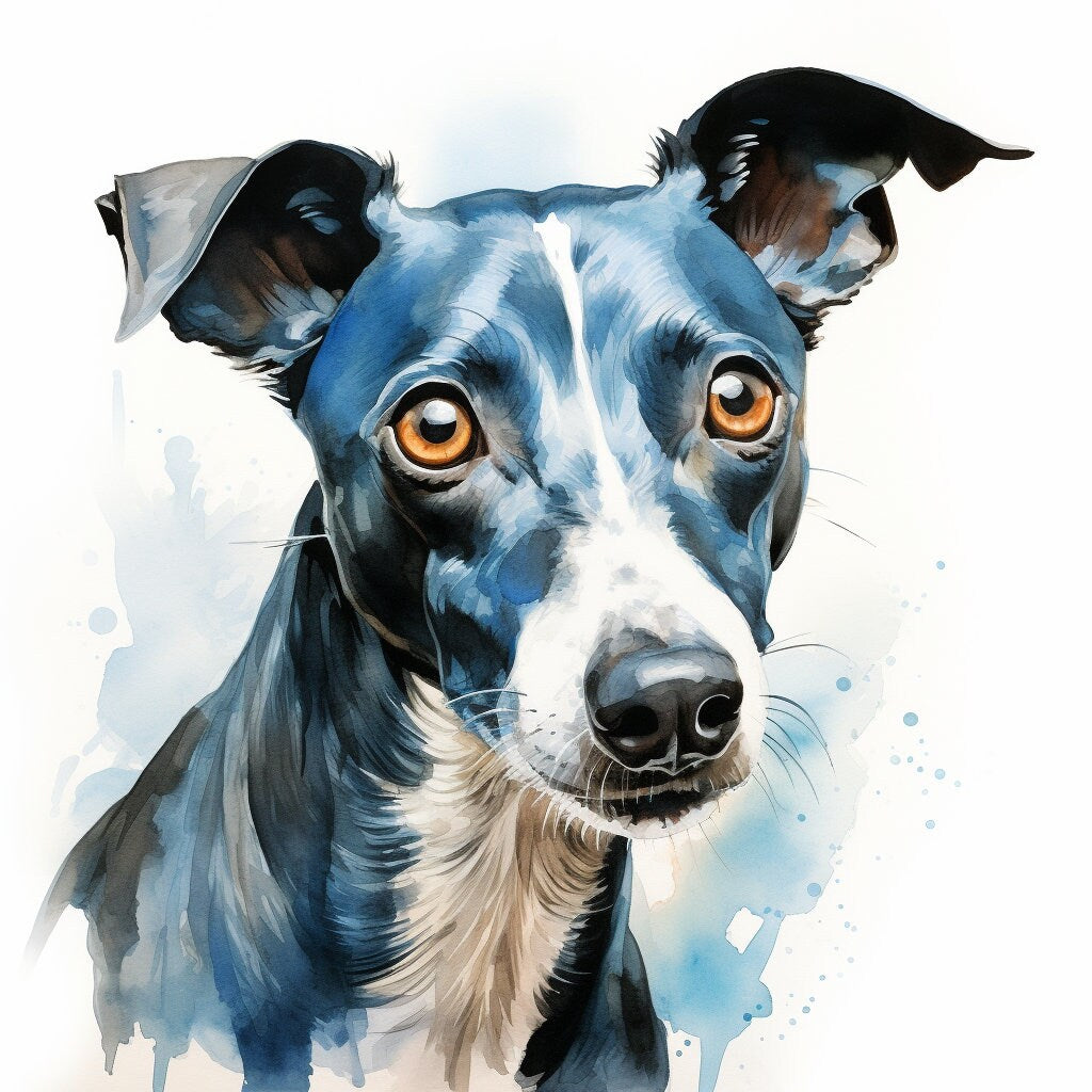 Majestic 10 x Print Watercolour blue whippet art blue whippet print blue whippet watercolour blue whippet wall art