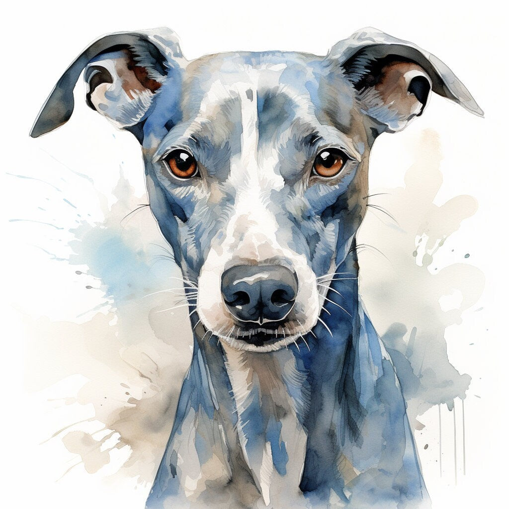 Majestic 10 x Print Watercolour blue whippet art blue whippet print blue whippet watercolour blue whippet wall art