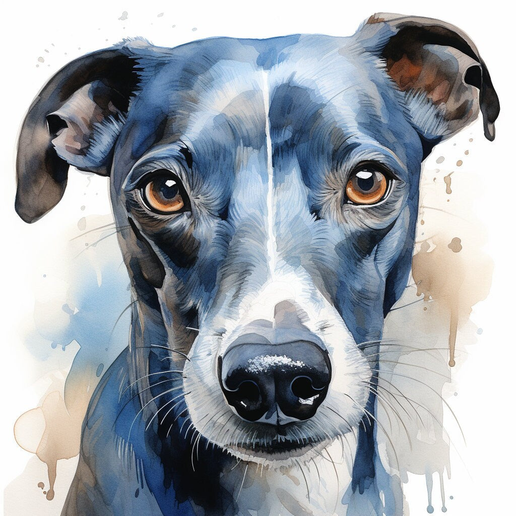 Majestic 10 x Print Watercolour blue whippet art blue whippet print blue whippet watercolour blue whippet wall art