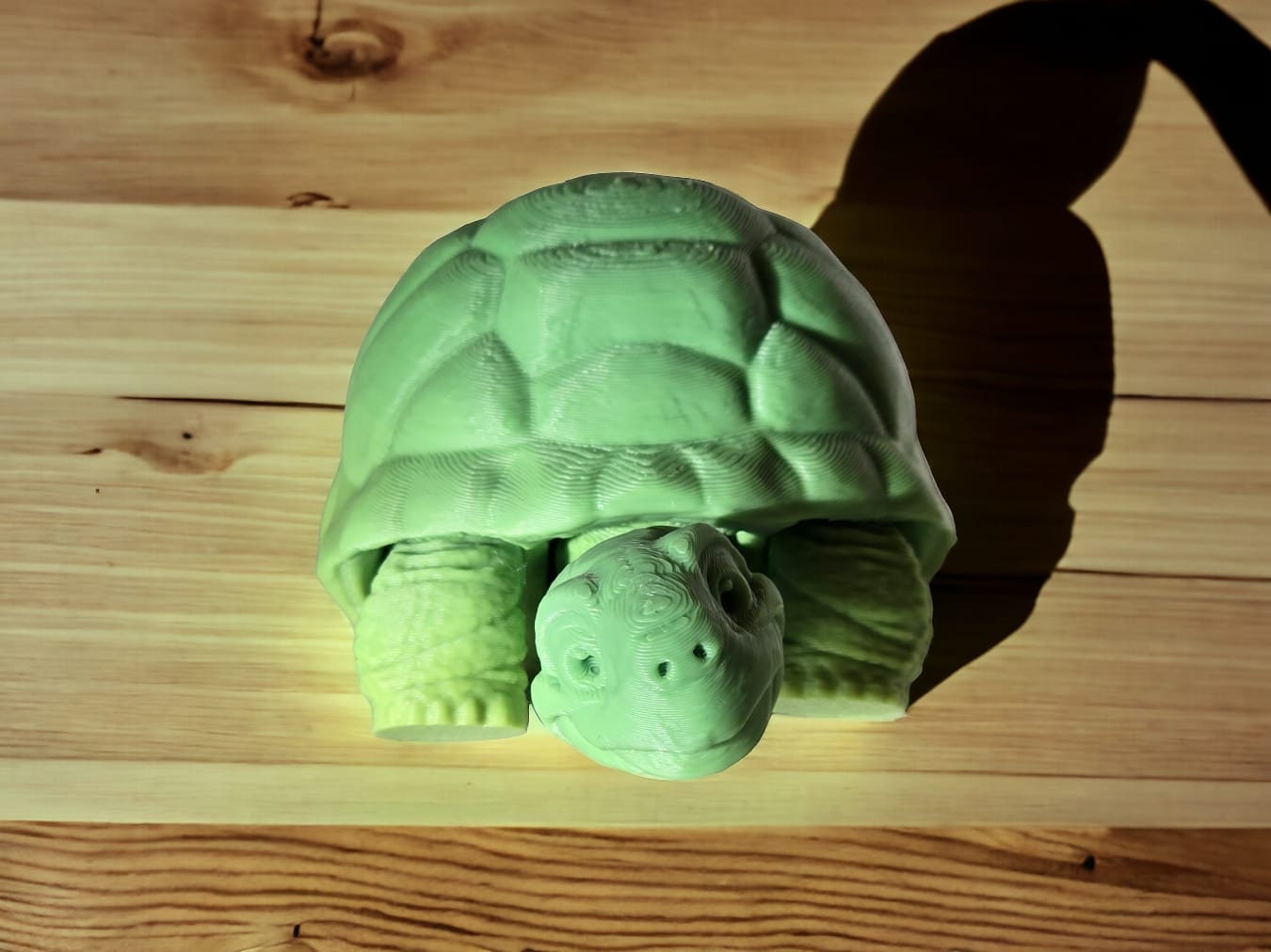 Dive into a World of Color with Our 3D-Printed Tortoises - Your Way
