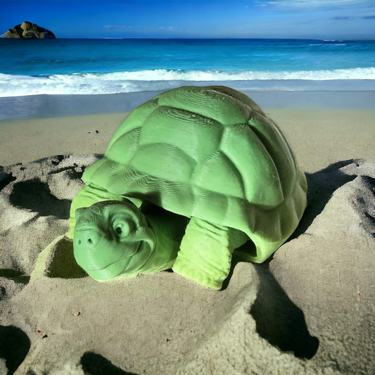 Dive into a World of Color with Our 3D-Printed Tortoises - Your Way