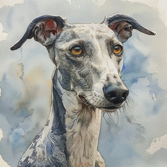 Majestic." Print Watercolour.Greyhound art,Greyhound print,Greyhound watercolour,Greyhound wall art,Greyhound home decor,Greyhound art decor