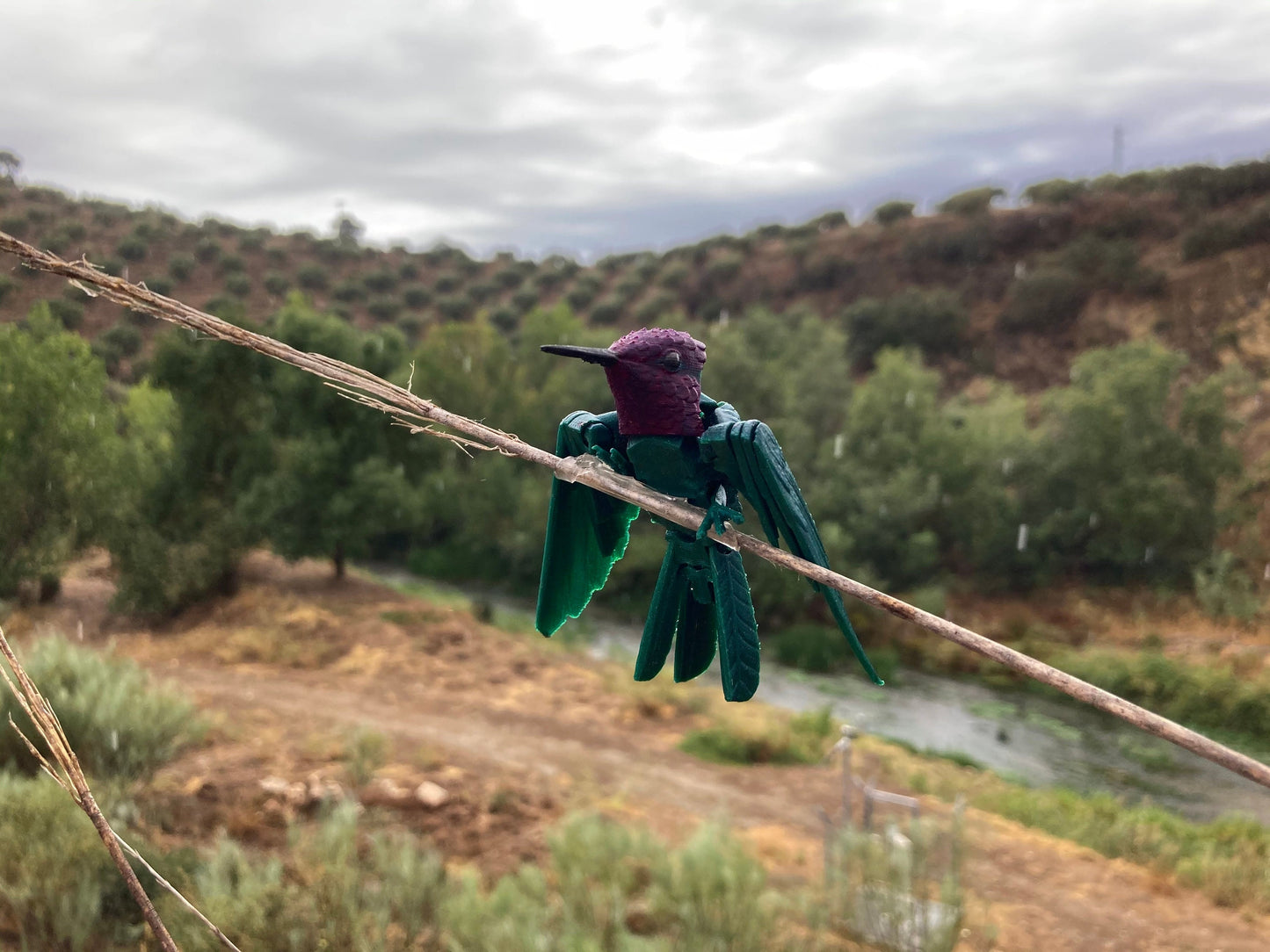 Exquisite 3D Printed Hummingbird Sculpture