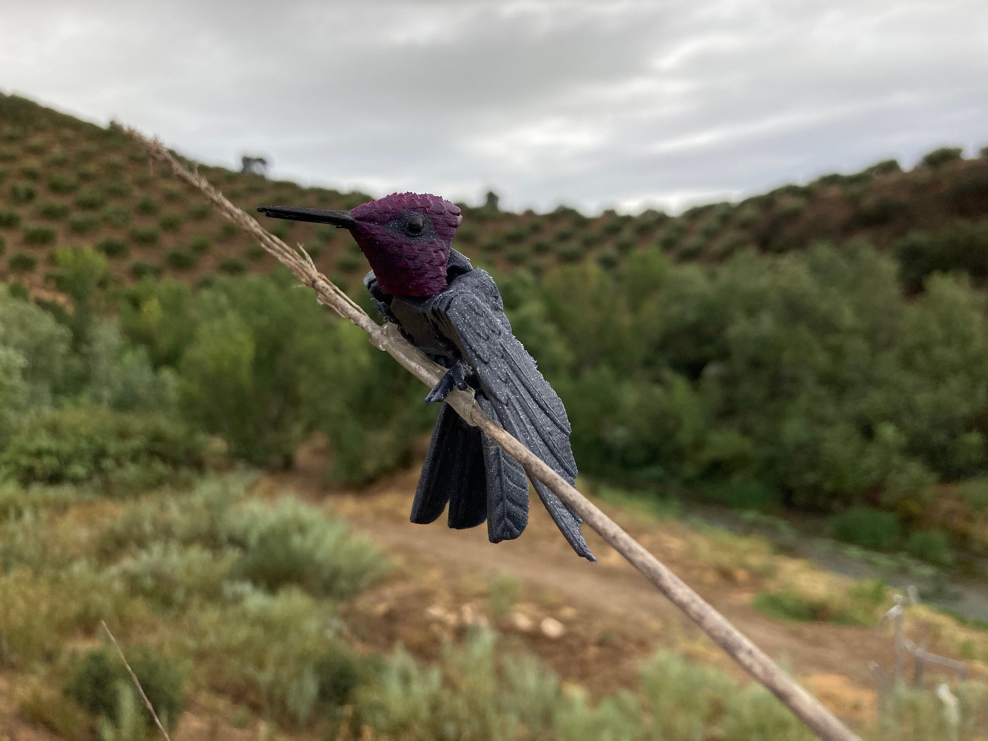 Exquisite 3D Printed Hummingbird Sculpture