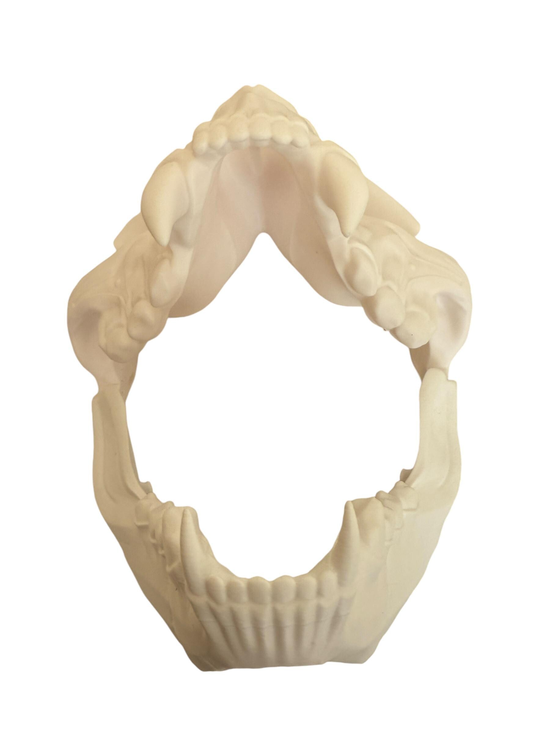 Feline Skull Mask, Feline Skull Mask with Sharp Teeth - Unique Japanese Art, japanese mask