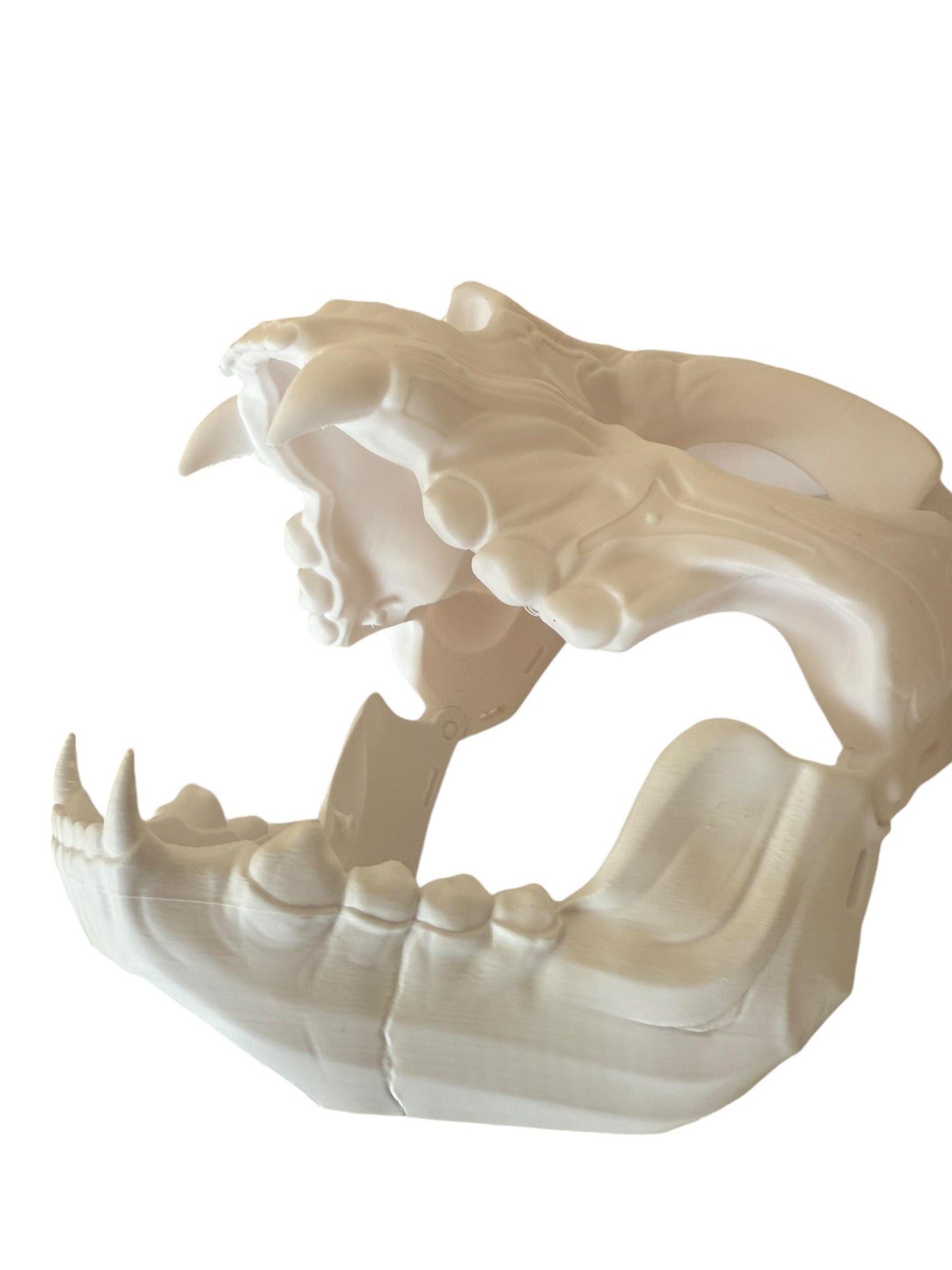 Feline Skull Mask, Feline Skull Mask with Sharp Teeth - Unique Japanese Art, japanese mask