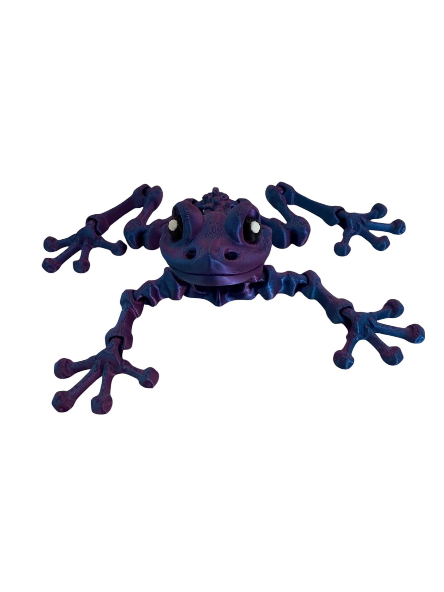 Skeleton Frog - Flexible Sensory Toy - Fidget - Articulated Pet