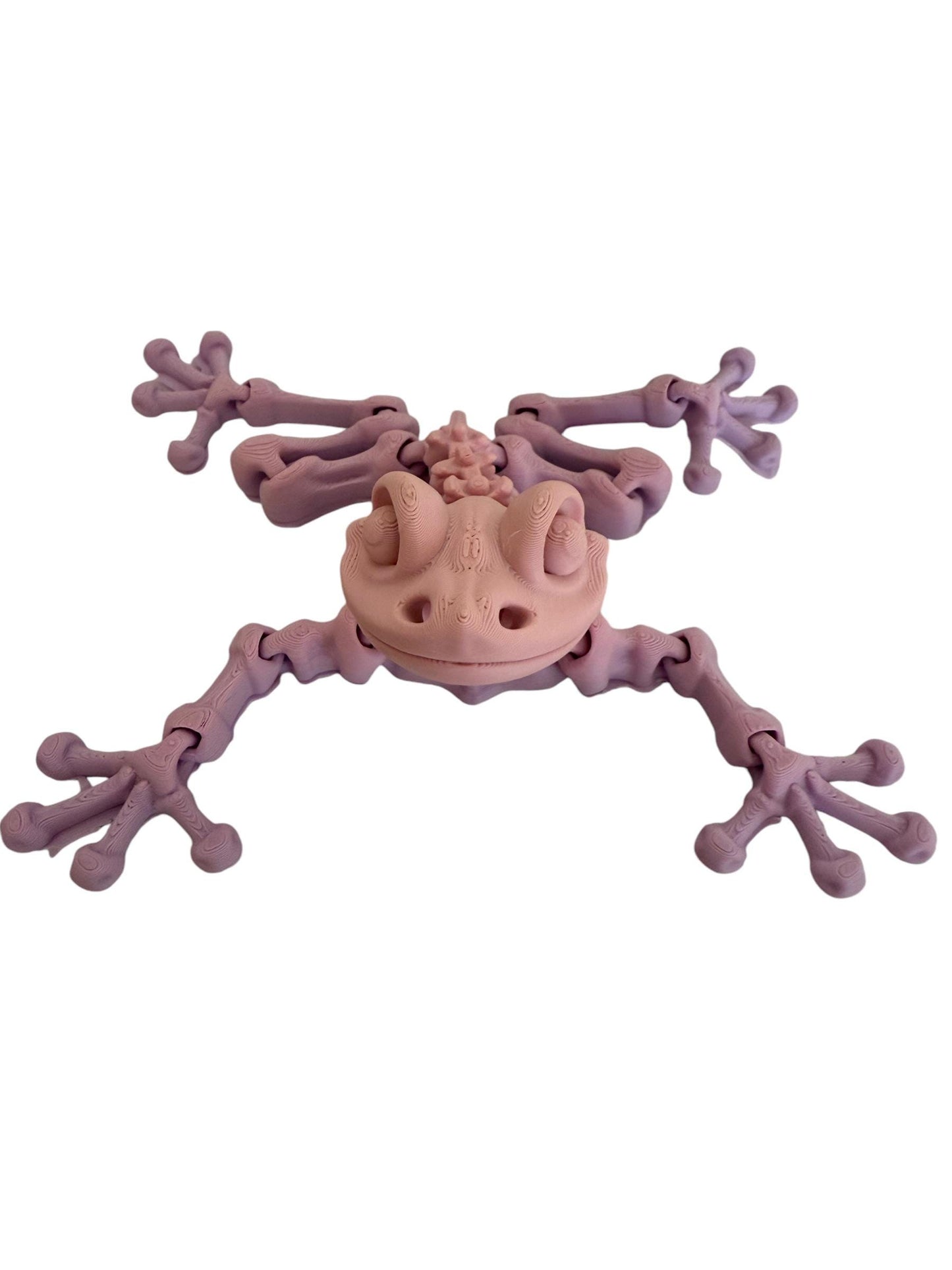 Skeleton Frog - Flexible Sensory Toy - Fidget - Articulated Pet
