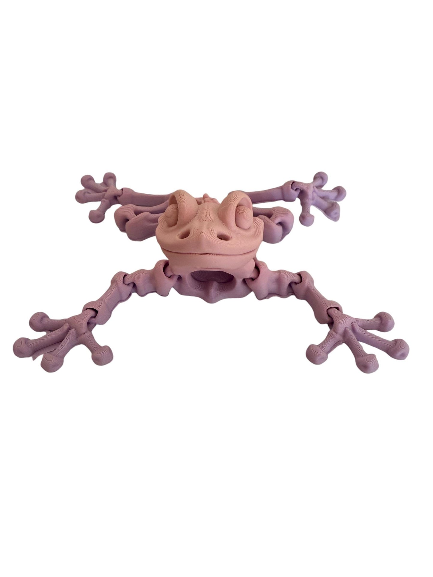 Skeleton Frog - Flexible Sensory Toy - Fidget - Articulated Pet