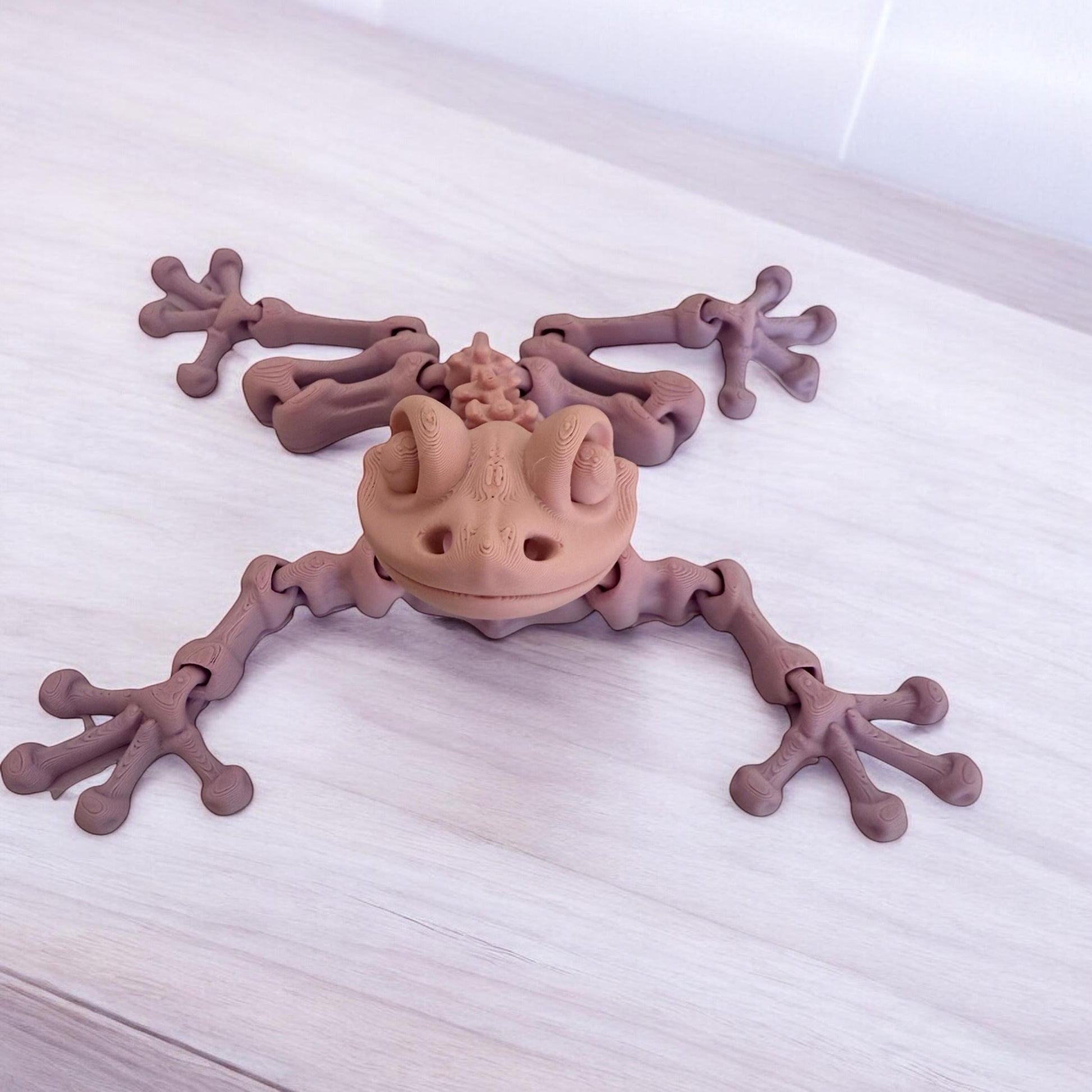 Skeleton Frog - Flexible Sensory Toy - Fidget - Articulated Pet