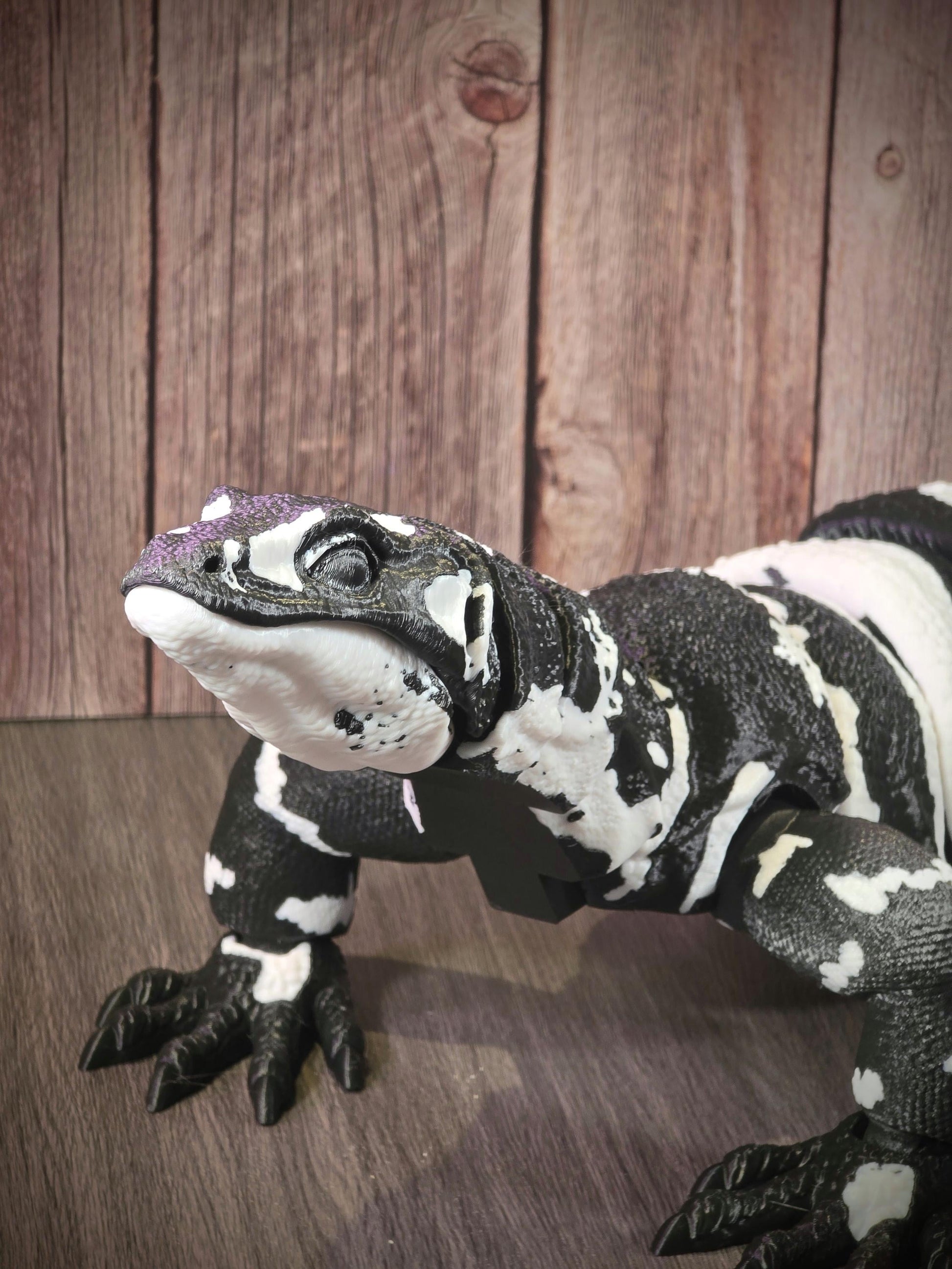 3D Printed Articulated Asian Water Monitor | Fidget Toy | Gift | Stocking Filler | Sensory Toy | Desk Sitter | Decorative Figurine