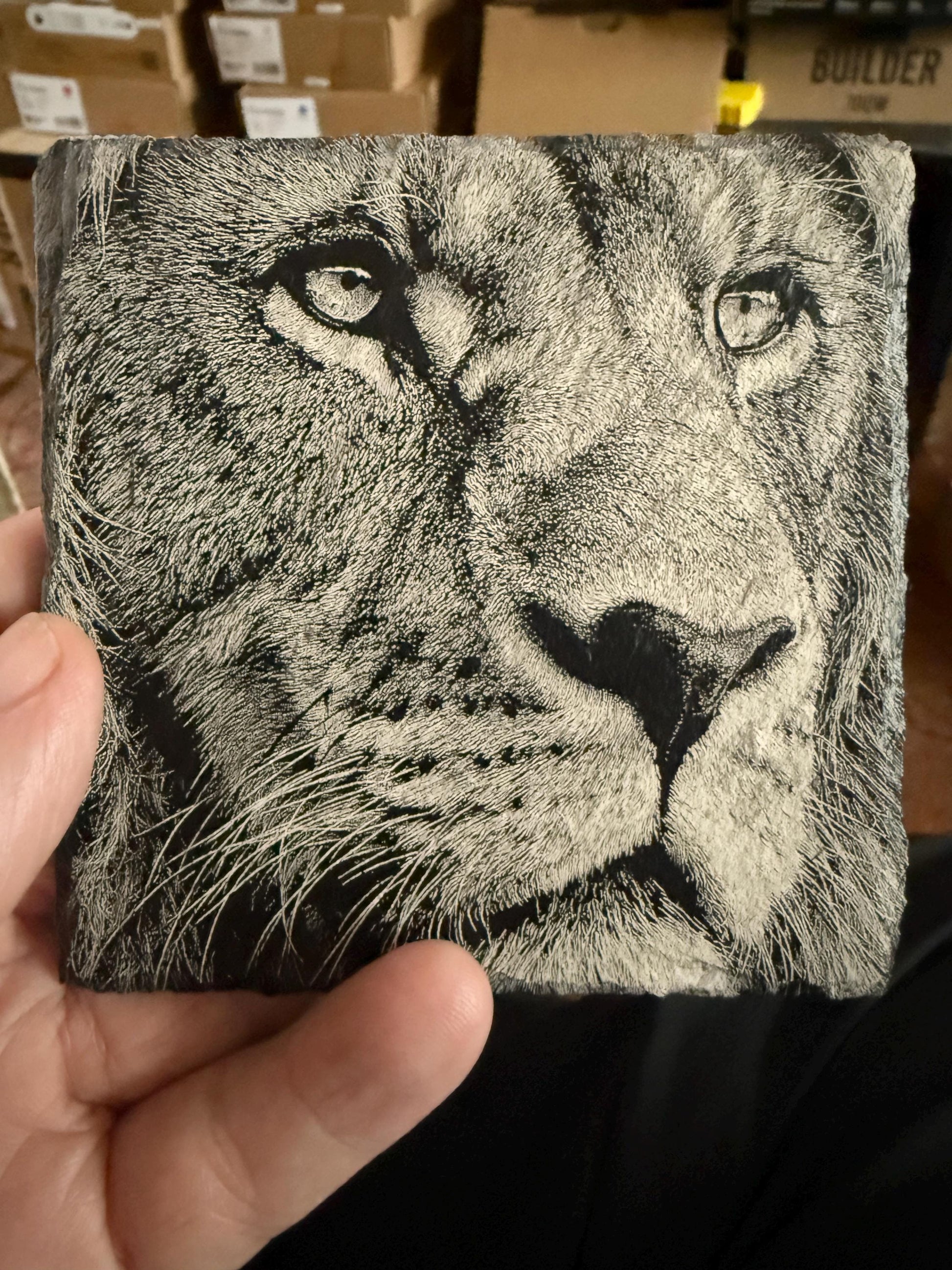 New Engraved "Lion" Welsh Slate Drinks Coaster - Functional and personal for all Lion lovers as a gift or a treat!