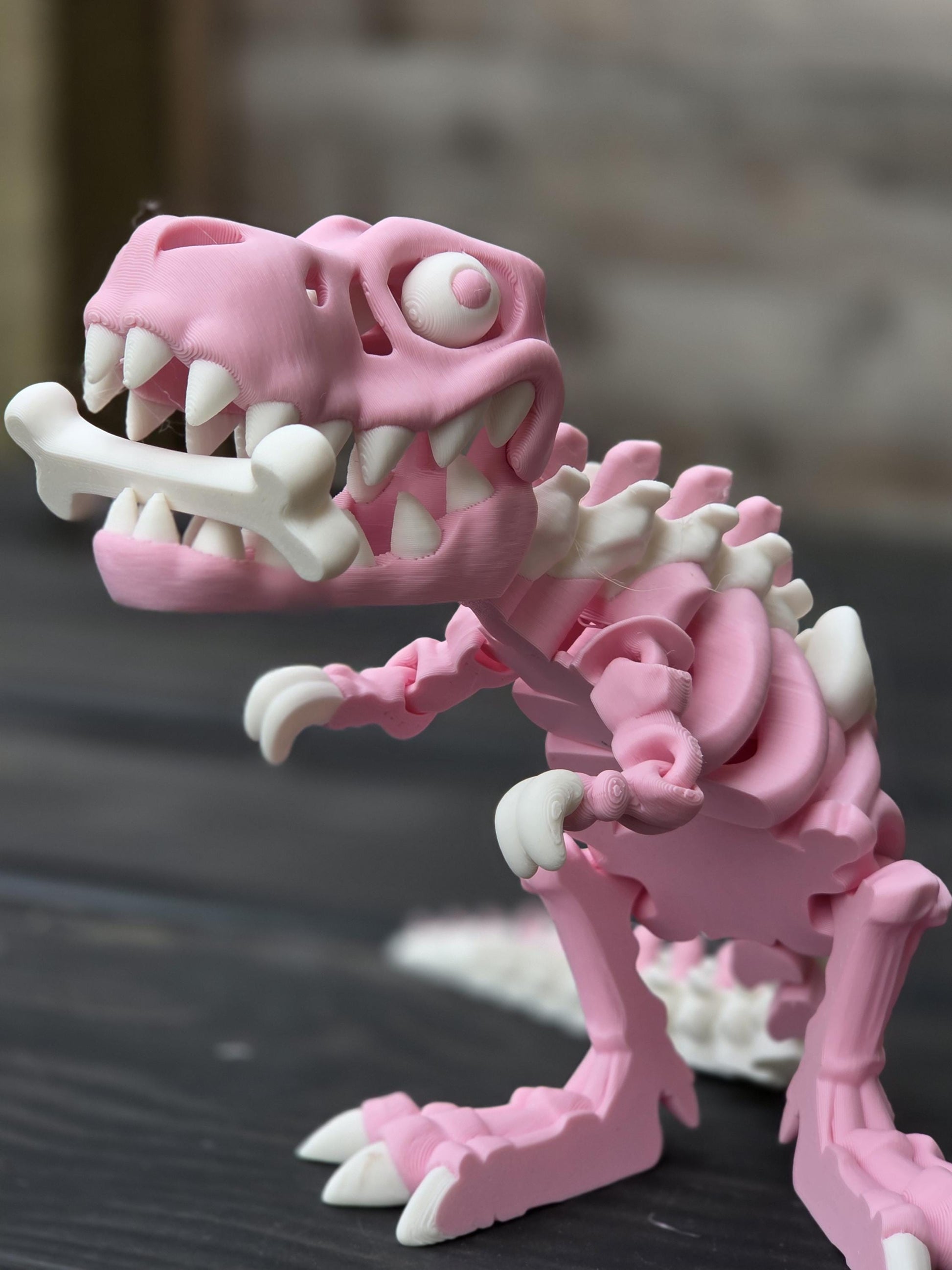 3D Printed Flexi T-Rex Dinosaur – Customizable in 2 Colors – 151mm Adhd