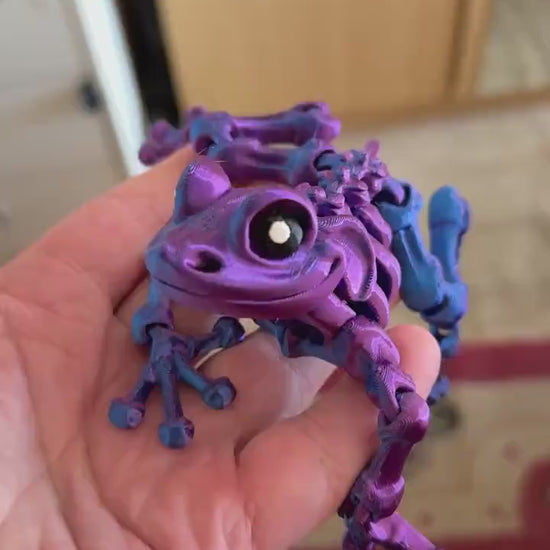 Skeleton Frog - Flexible Sensory Toy - Fidget - Articulated Pet