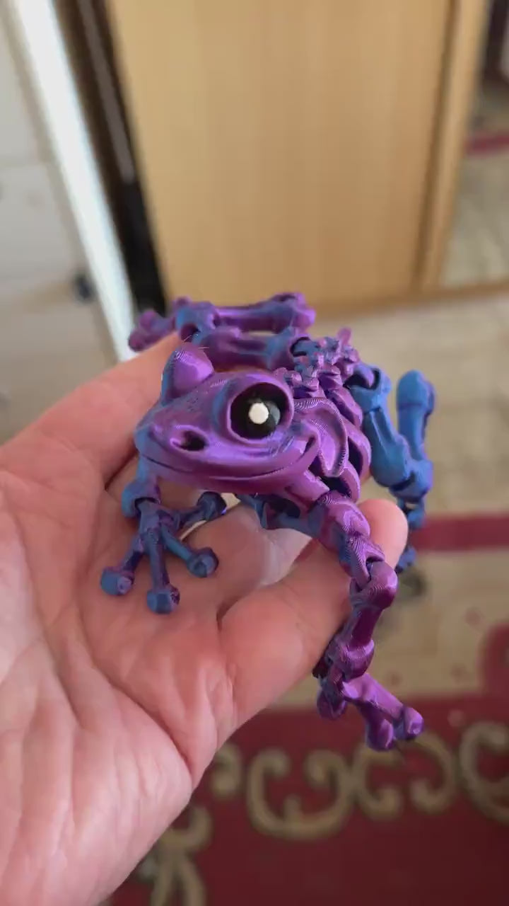 Skeleton Frog - Flexible Sensory Toy - Fidget - Articulated Pet