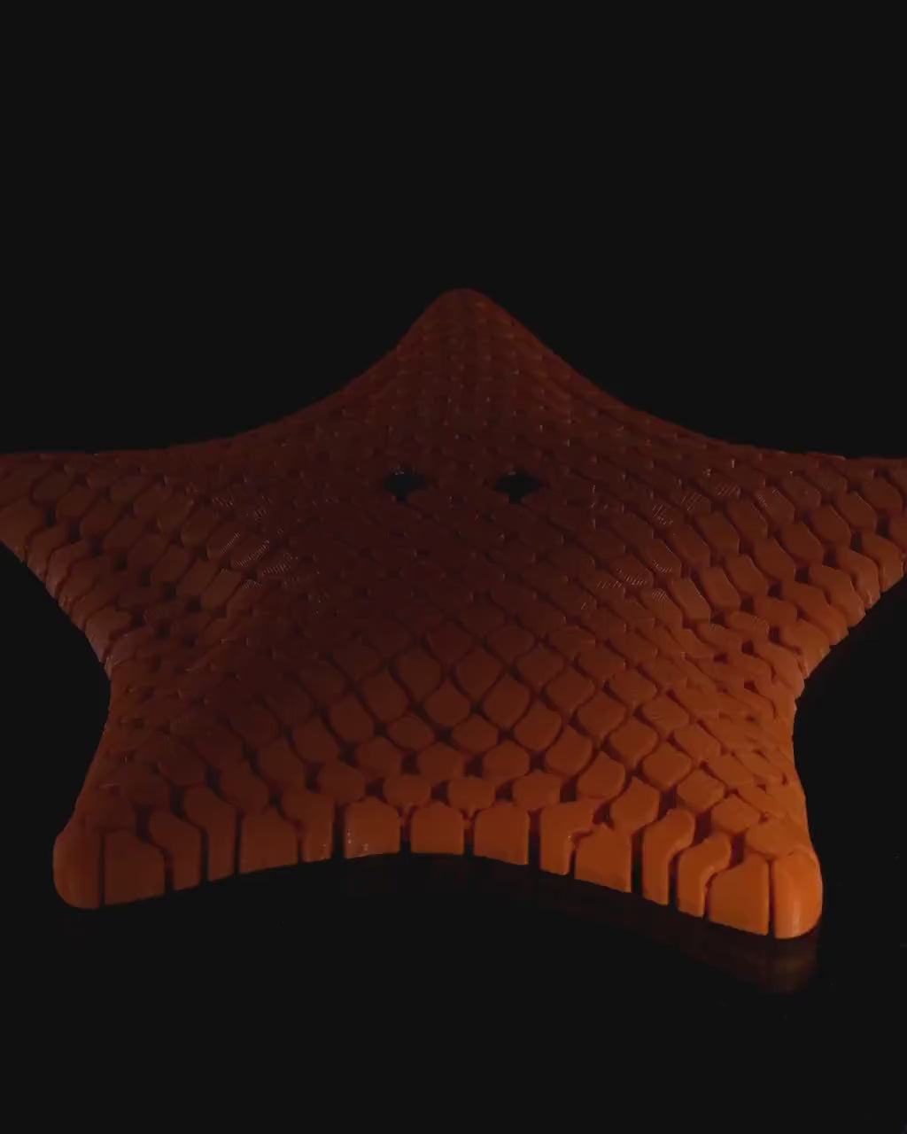3d print  Starfish Hyper Flexible Fidget Toy Great Christmas Gift