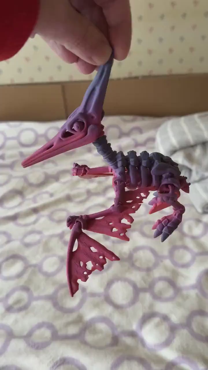 3D Printed Skeleton Pteranodon – Prehistoric Fossil Replica