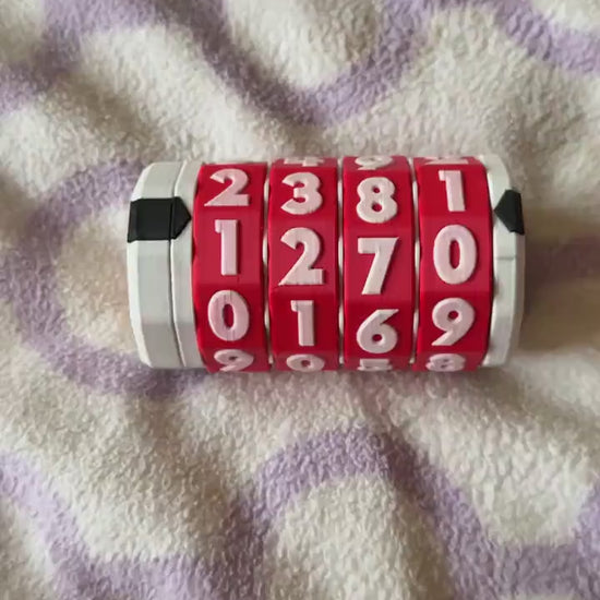 Custom 3D Printed Cryptex | Puzzle Box | Lock Box – Choose Your Own Code & Colors!