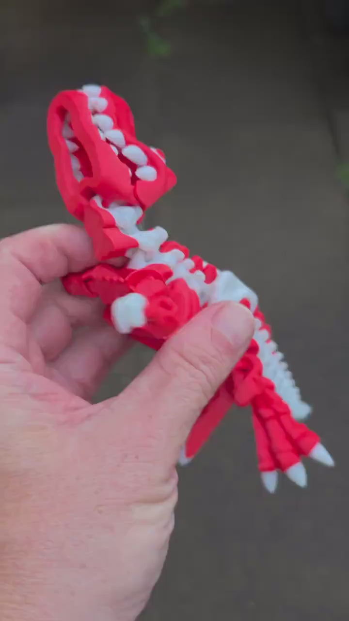 3D Printed Flexi T-Rex Dinosaur – Customizable in 2 Colors – 151mm Adhd